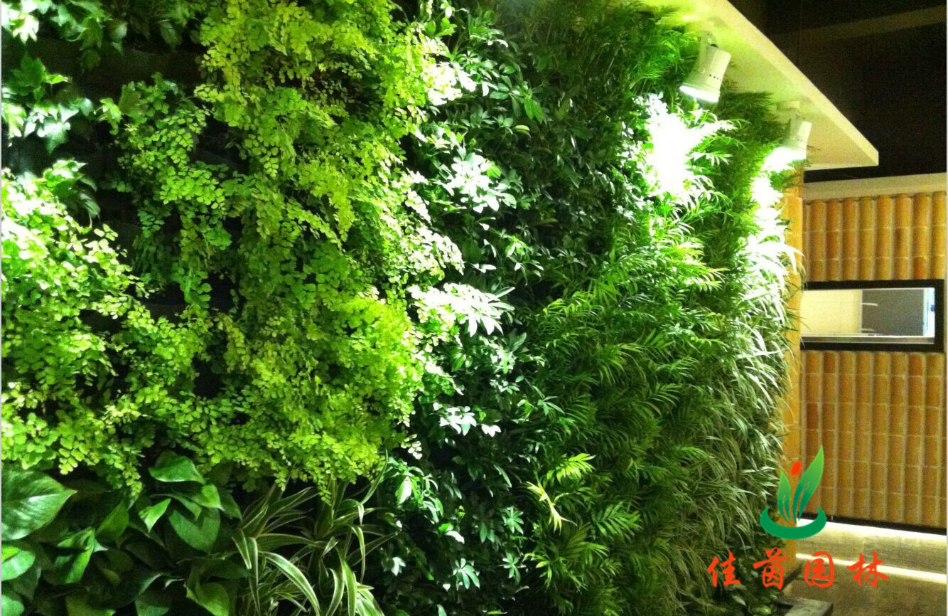 立体绿化系列