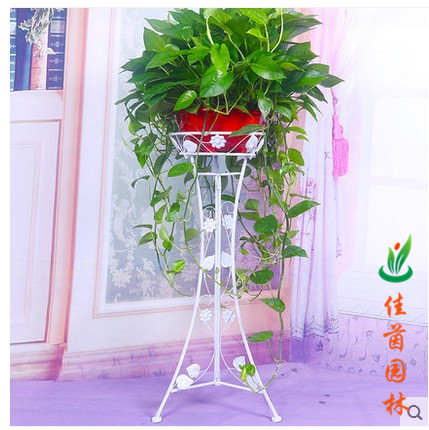炫彩花架系列