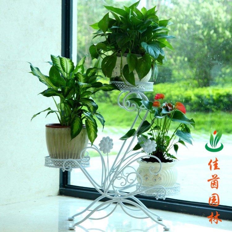 炫彩花架系列