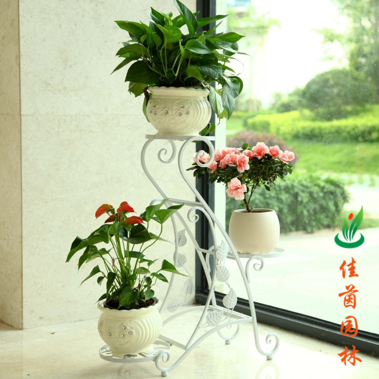 炫彩花架系列