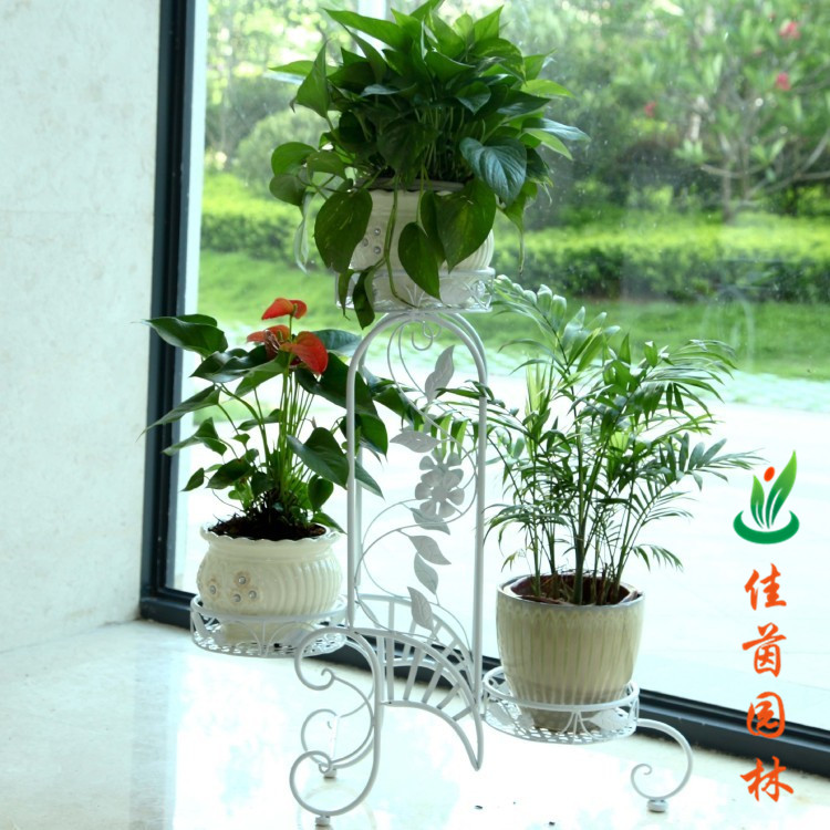 炫彩花架系列