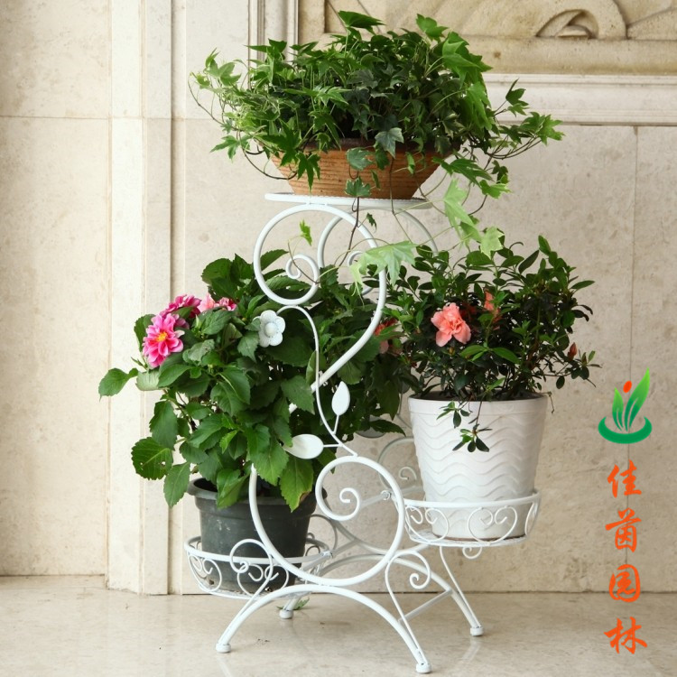 炫彩花架系列