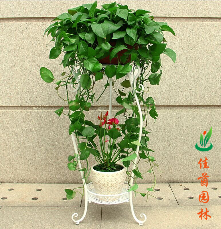 炫彩花架系列