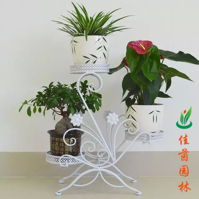 炫彩花架系列